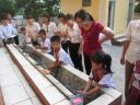 VSMT 8 .JPG - 
