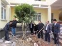trong cay 3 .JPG - 
