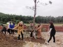 trong cay 4 .JPG - 