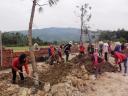 trong cay 5 .JPG - 
